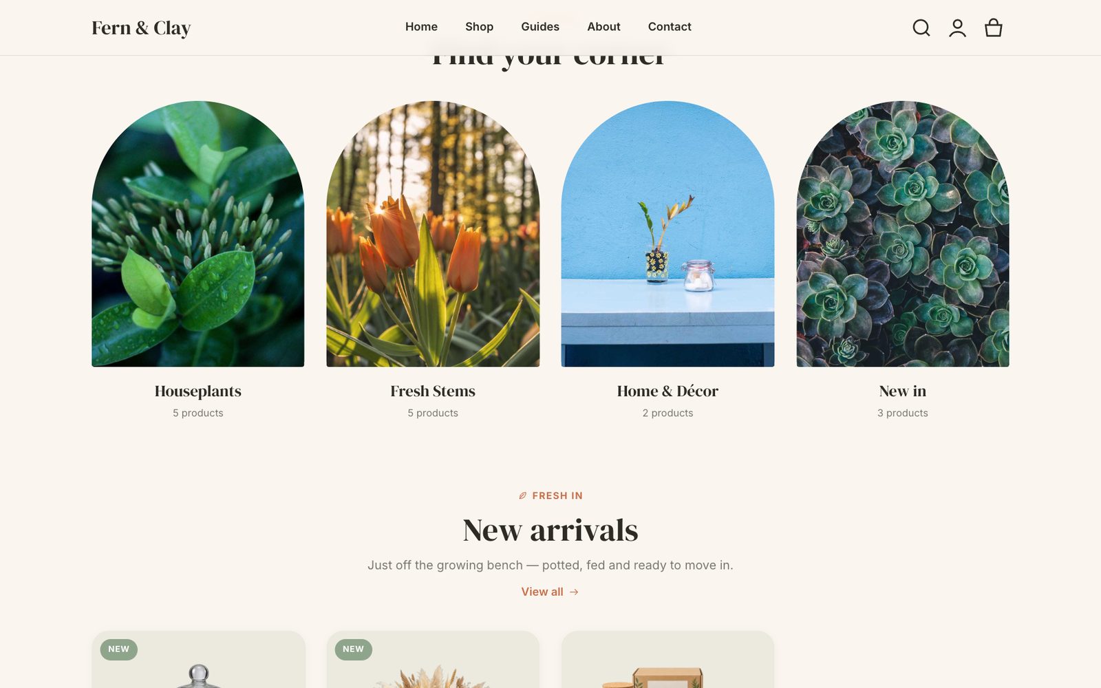 Haven theme — storefront section 2